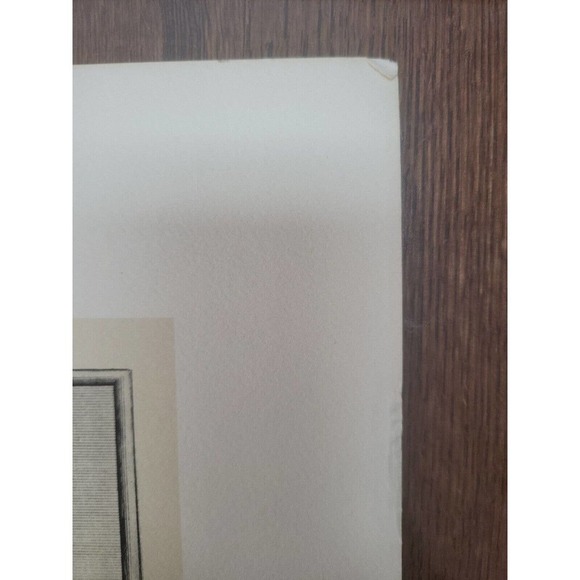 Rob Furber Gardiner At Kensington 1730 H. Fletcher "February" Month Of Flowersm. - Picture 5 of 7